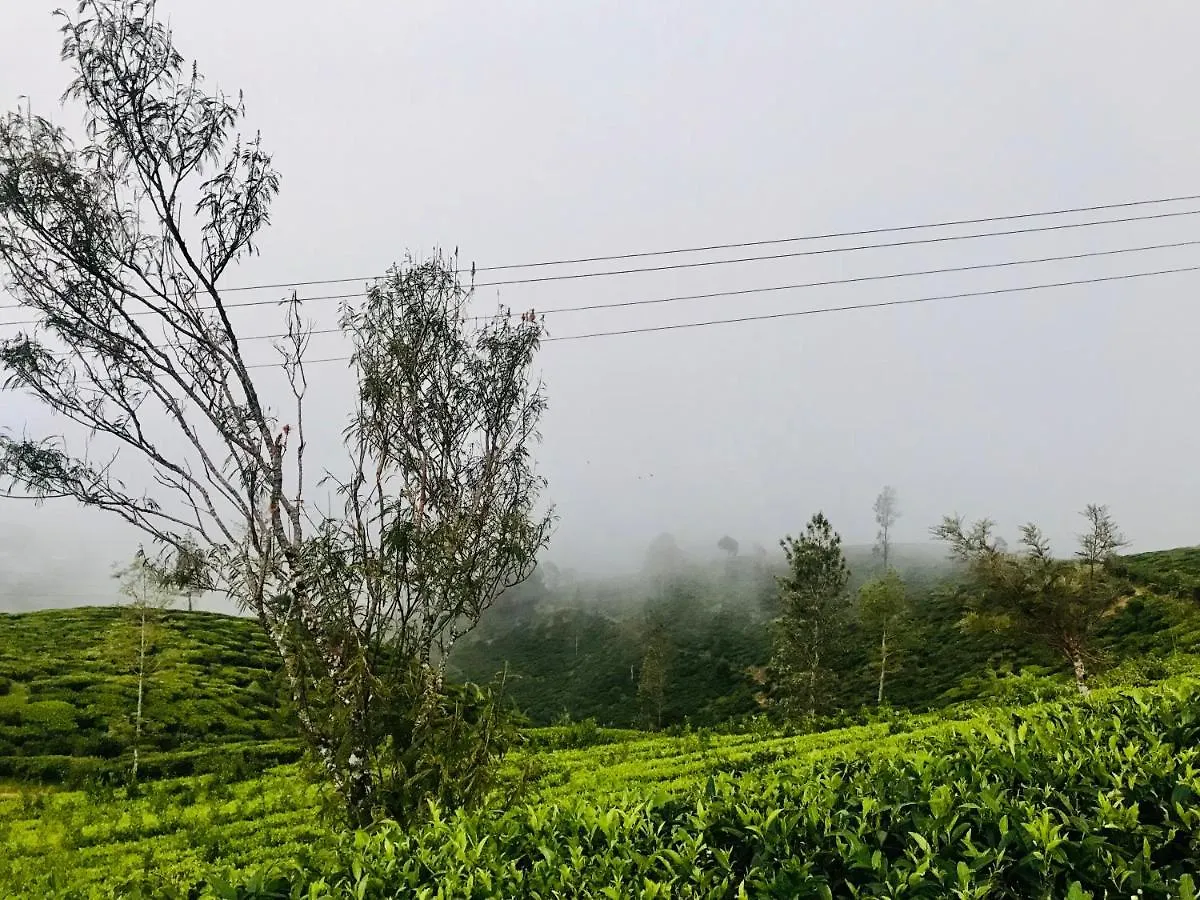 Queensland Hotel Nuwara Eliya Sri Lanka