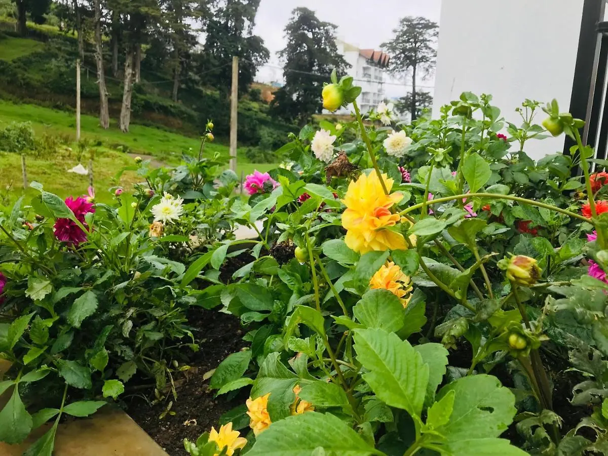 Queensland Hotel Nuwara Eliya 0*,  Sri Lanka